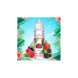 FRUITS DES BOIS 50ML -...