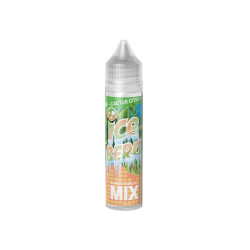 MIX PECHE CACTUS CITRON...