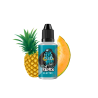 CONCENTRE ELECTRO 30ML - REMIX