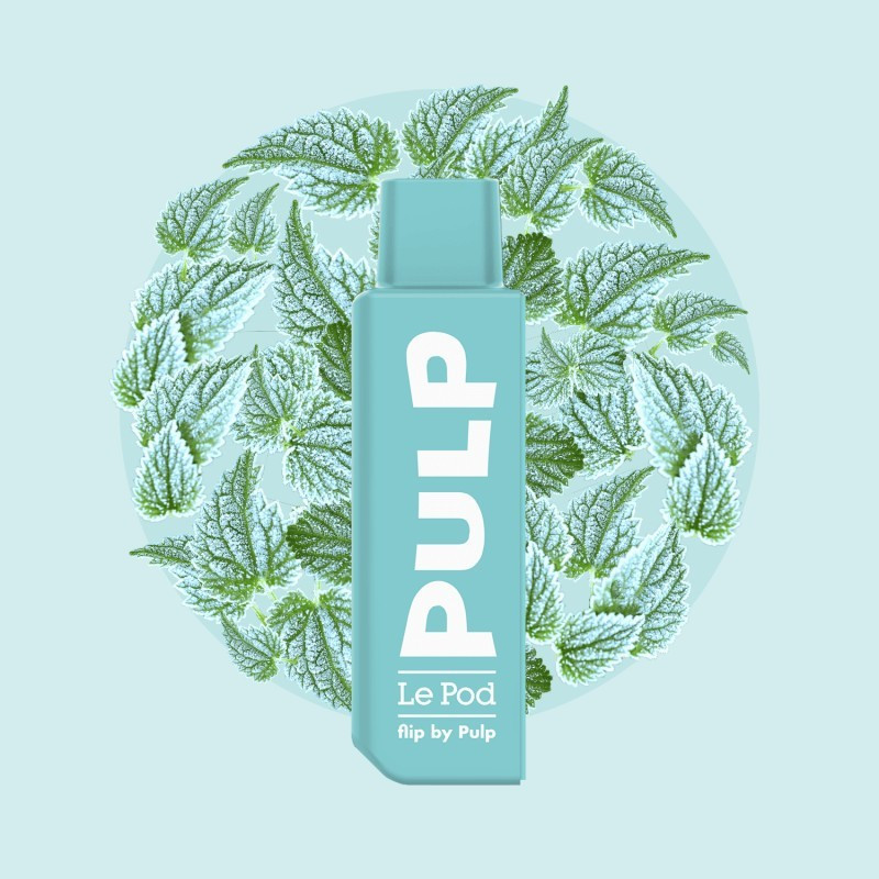 CARTOUCHES MENTHE POLAIRE 2ML FLIP - PULP