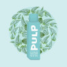 CARTOUCHES MENTHE POLAIRE 2ML FLIP - PULP