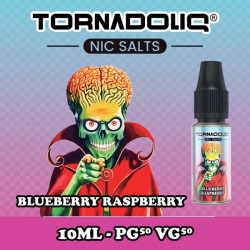 BLUEBERRY RASPBERRY NICSALT...