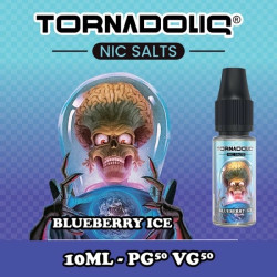 BLUEBERRY ICE NICSALT -...