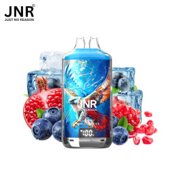 KIT BLUEBERRY POMEGRANATE...