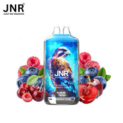 KIT BLUEBERRY RASBERRY...