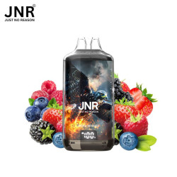 KIT MIXED BERRIES 28000...