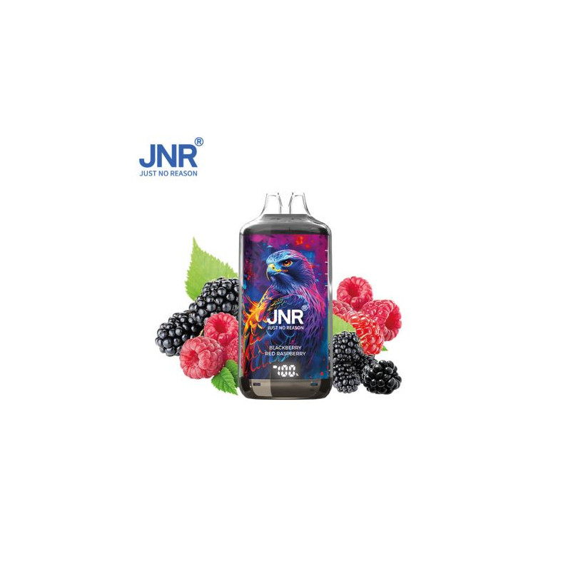 KIT BLACKBERRY RED RASPBERRY 28000 PUFFS 2X10ml - FALCON-X - JNR
