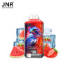 STRAWBERRY WATERMELON ICE 28000 PUFFS 2X10ml - FALCON-X - JNR