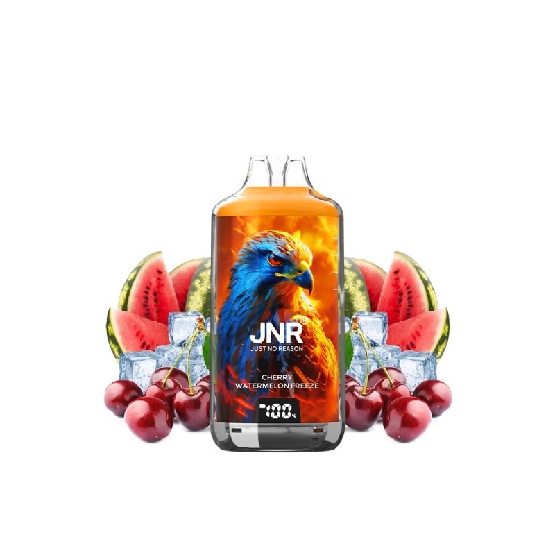 CHERRY WATERMELON FREEZE 28000 PUFFS 2X10ml - FALCON-X - JNR