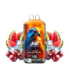 KIT CHERRY WATERMELON FREEZE 28000 PUFFS 2X10ml - FALCON-X - JNR
