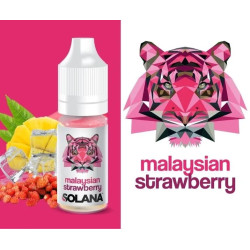 CONCENTRE MALAYSIAN...