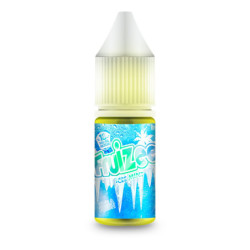 ICEE MINT 10ML - FRUIZEE
