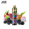 KIT BLACK DRAGON ICE 24000 PUFFS 2X10ML - JOKER BY JNR
