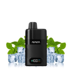 STARTER KIT LEVO 30K 1000MAH 10ML / 2% - ADALYA