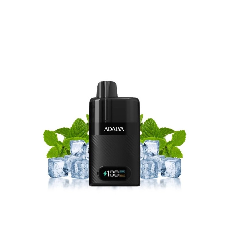 STARTER KIT LEVO 30K 1000MAH 10ML / 2% - ADALYA