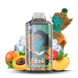 FIGHTER X 32K 10MG - MAISON...