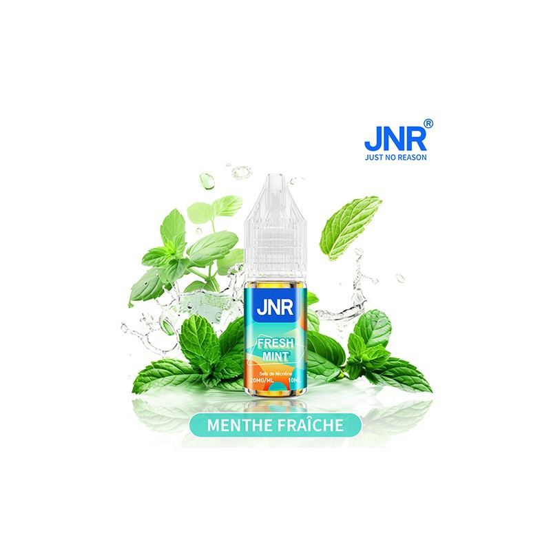 FRESH MINT 10ML 20MG NIC SALT - JNR
