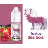 CONCENTRE FRUITS DES BOIS 10ML - SOLANA