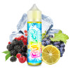 SPRING FRESH 50ML - FRUIZEE