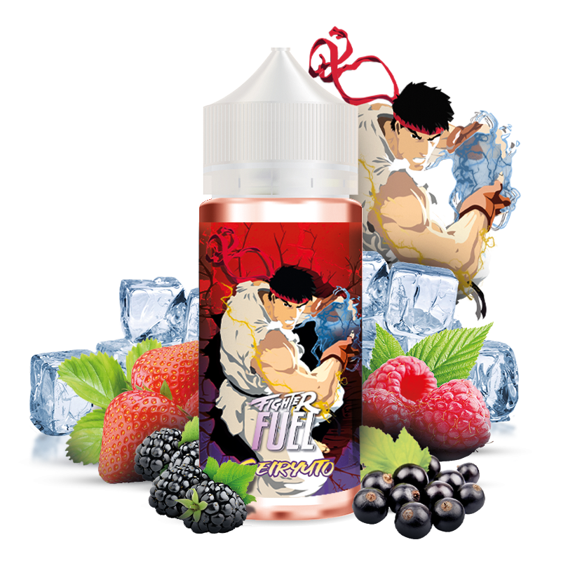SEIRYUTO 100ML - FIGHTER FUEL - MAISON FUEL