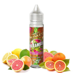 HARAMBAE 50ML - TWELVE MONKEYS