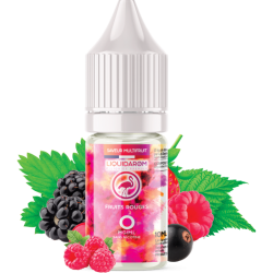 FRUITS ROUGES 10ML -...