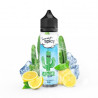 FRESH KIPICK 50ML - SUMMER SPICY - E.TASTY