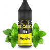 AROME CONCENTRE MENTHE 10ML - ELIQUID FRANCE