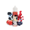 SEIRYUTO 50ML - FIGHTER FUEL - MAISON FUEL
