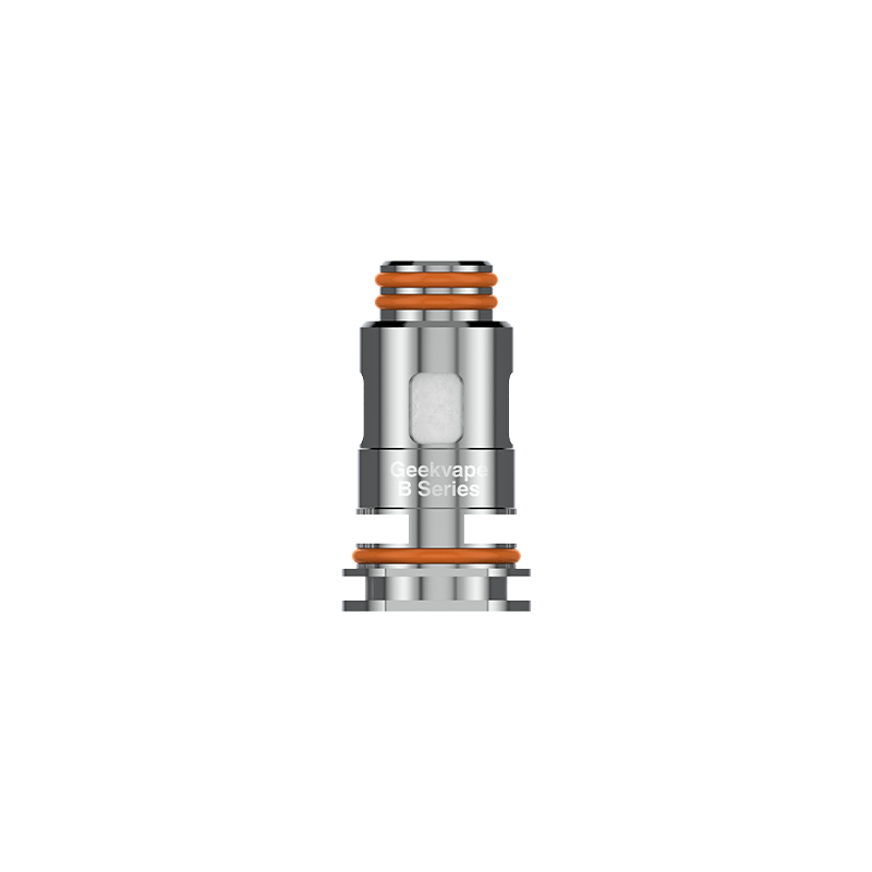 RESISTANCES B SERIES (5pcs) - GEEKVAPE
