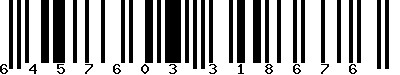 EAN-13 : 6457603318676