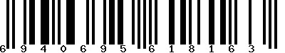 EAN-13 : 6940695618163