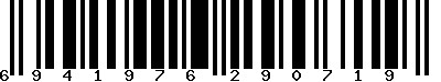 EAN-13 : 6941976290719