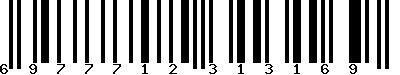 EAN-13 : 6977712313169